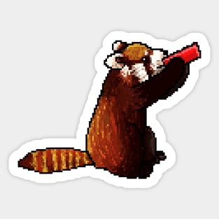 Red panda drinking from a red can Sticker